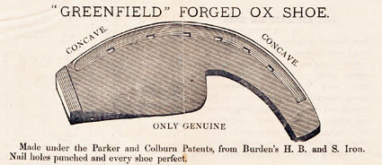 Greenfield ox shoe notice